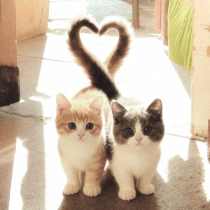 来不及感受你手里的余温