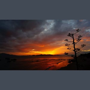 迟暮 (吉他原创指弹)