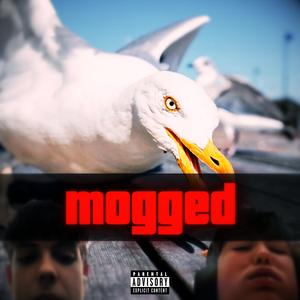 Deal (Måke Disstrack) (Explicit)