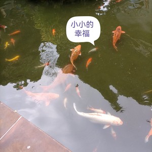 小小的幸福 (伴奏)