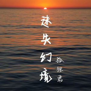 迷失幻境 (没来得及说抱歉)