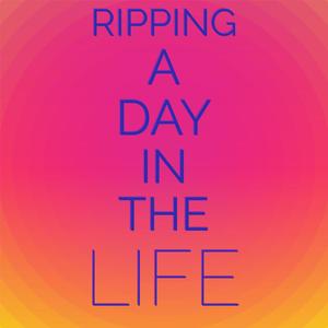 Ripping A Day In The Life