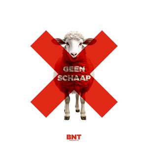 GEEN SCHAAP (Explicit)