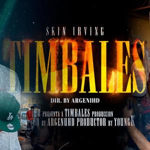 Timbales(feat. SkinirvinG)