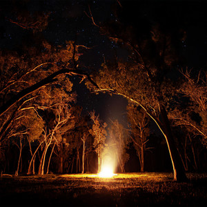 Space Bong - I Said If I'm In Luck I Just Might Get Picked Up (Explicit)