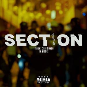 Section (feat. Connie Diiamond) [Explicit]