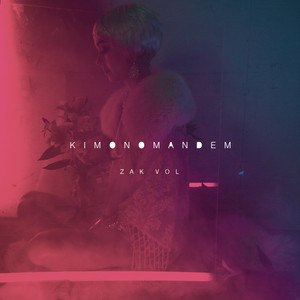 Zak Vol (Radio Edit|Explicit)