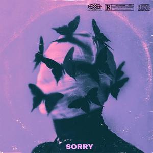 SORRY (Explicit)