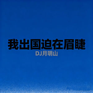 我出国迫在眉睫