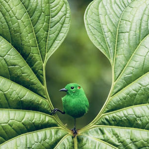 Talk To Me (feat. Ashtroboi) (Explicit)