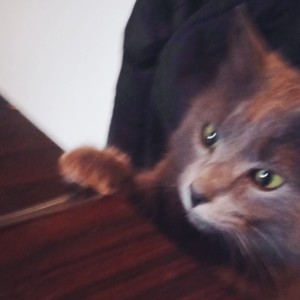 AMOR DE ANTES (feat. DcordesMusic) (Explicit)