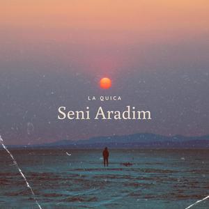 Seni Aradim