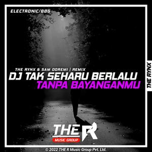 Tak Sehari Pun Berlalu Tanpa Bayanganmu (DjSD Remix)