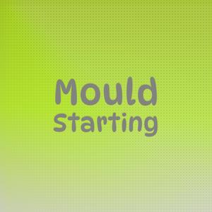 Mould Starting