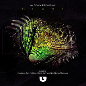 Punkt (Nick Novikoff Remix)