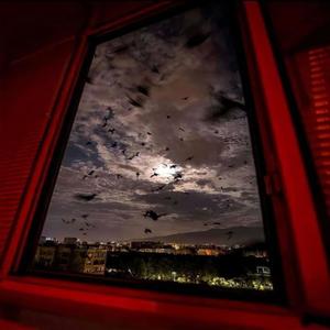 See me (feat. Yung Atarii) (Explicit)