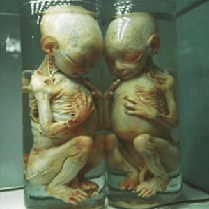 hollow.hollow.hollow (Explicit)