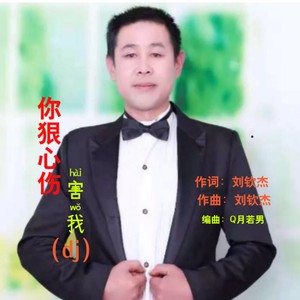 你狠心伤害我 (DJ版)