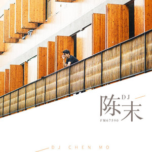DJ陈末 - 想把我的一腔孤勇和余生六十年全都给你