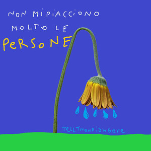 Non mi piacciono molto le persone (Explicit)