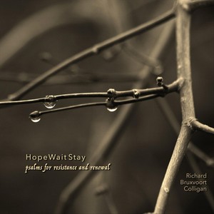 Hope Wait Stay: Psalms for Resistance and Renewal