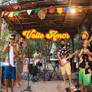 Volte Amor