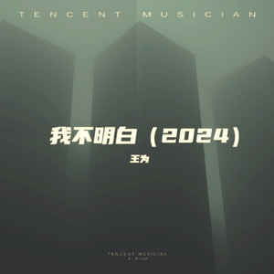 我不明白（2024）