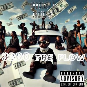 somerset b x 3200 flow (Explicit)