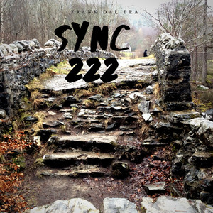 Sync 222