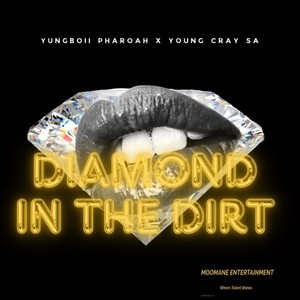 Diamond In The Dirt