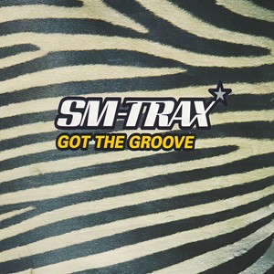 Got the Groove (SM in Motion Mix)