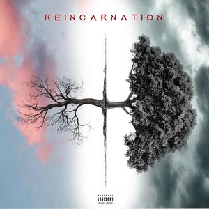 REINCARNATION (Explicit)