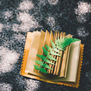 安眠曲五分钟入眠必听