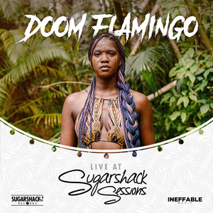 Doom Flamingo (Live at Sugarshack Sessions)