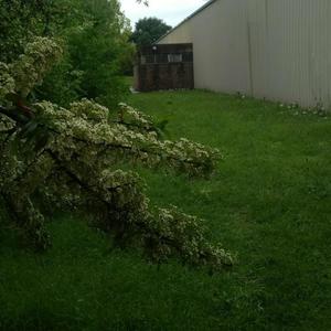 YEN1000 (Yn3) // (_DjKL4XON_)