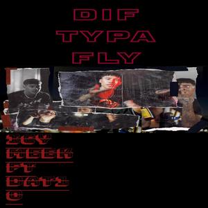 DIF TYPA FLY (feat. DAT O) [Explicit]