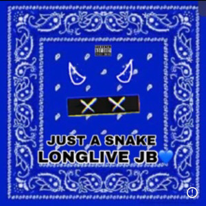 JUST A SNAKE (Explicit)