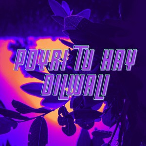 POYRI TU HAY DILWALI