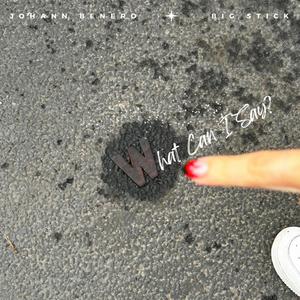 What Can I Say? (Explicit)