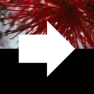 處暑 (feat. MMO|End of Heat)