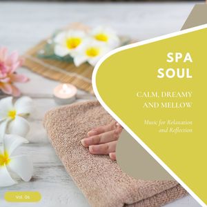 Spa Soul - Calm, Dreamy And Mellow Music For Relaxation And Reflextion, Vol. 06
