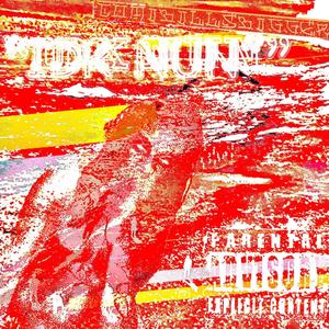 IRL (feat. Nolanberollin) (Explicit)