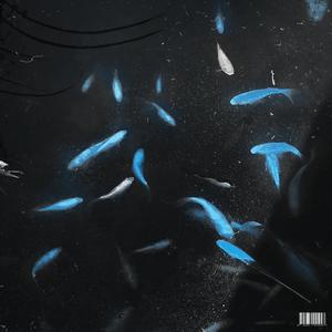 Néons Bleus (Explicit)