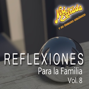 Reflexiones para la Familia, Vol. 8