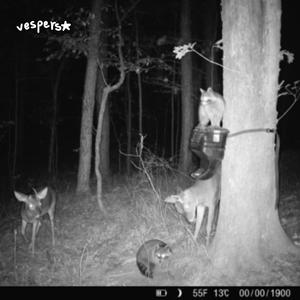 truckhorn trainhorn (night prayer)