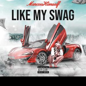 Like My Swag (Explicit)