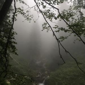 Kurtis - brittle bones (Explicit)