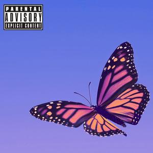 Butterflies (feat. DatRoo) [Remix] [Explicit]