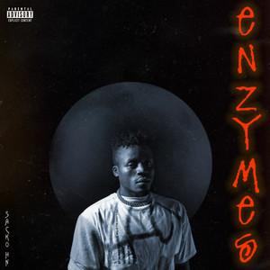 Enzymes (Explicit)