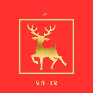 25/12 (DJ Mix)